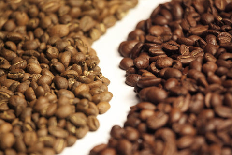 Arabica ou Robusta : quelle différence et lequel choisir ?
