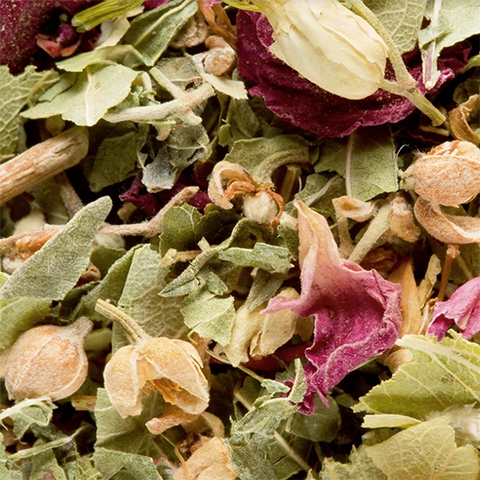 Tisane Bali - Infusion 25 sachets