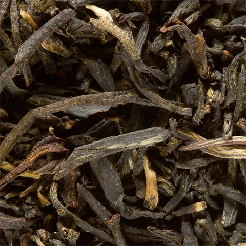 Sencha Fukuyu - Thé vert 25 sachets
